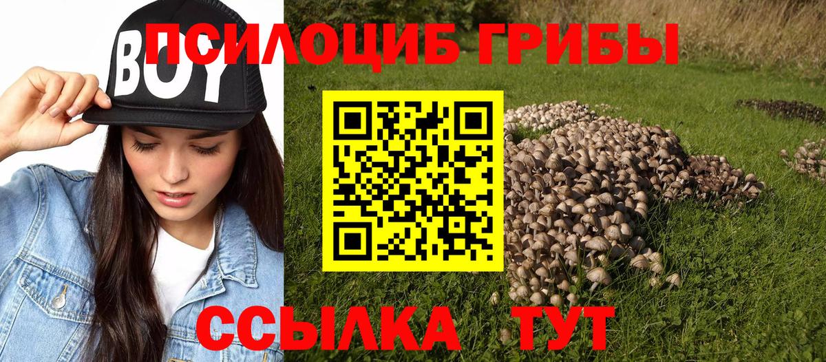 Псилоцибиновые грибы мухоморы  Вход с VPN  Галлюциногенные грибы ЛСД  Махачкала 